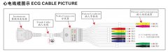 ECG Cable for ECG Machine